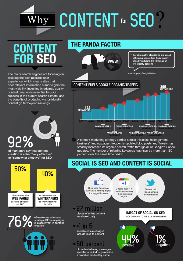 seo infographic example